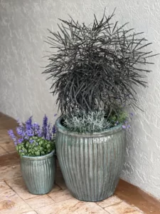 Cute Little Pots